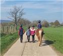 Veranstaltungsbild Rally mit dem Pferd durch Feld und Wald I